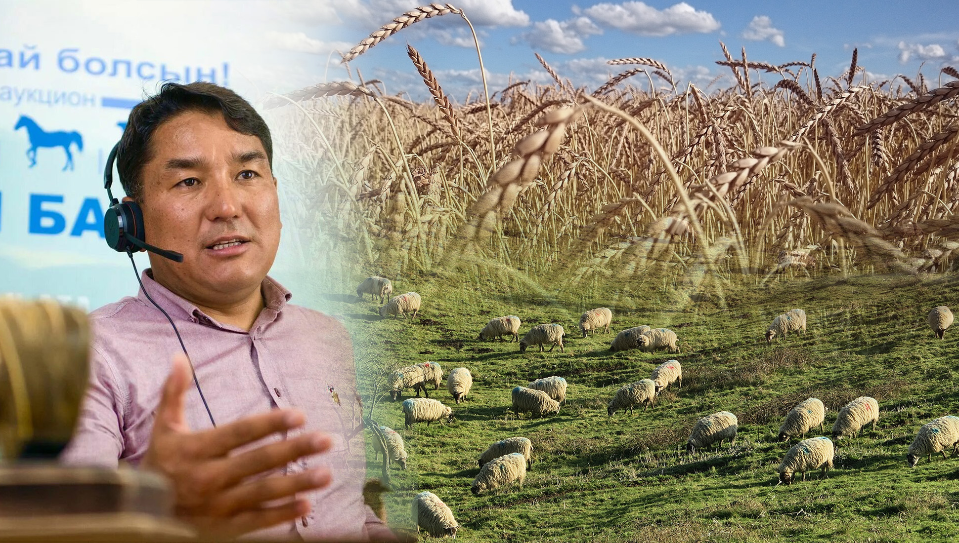 Эксперт объяснил, почему сельхозкооперативы в Казахстане терпят фиаско