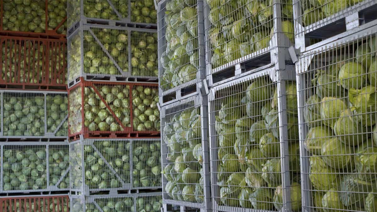 A five thousand tonne vegetable storage facility will be built by a Turkish company