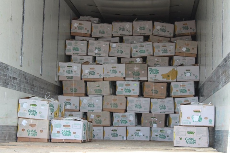 Сарыагашские фермеры экспортировали 500 тонн продуктов питания в соседние государства