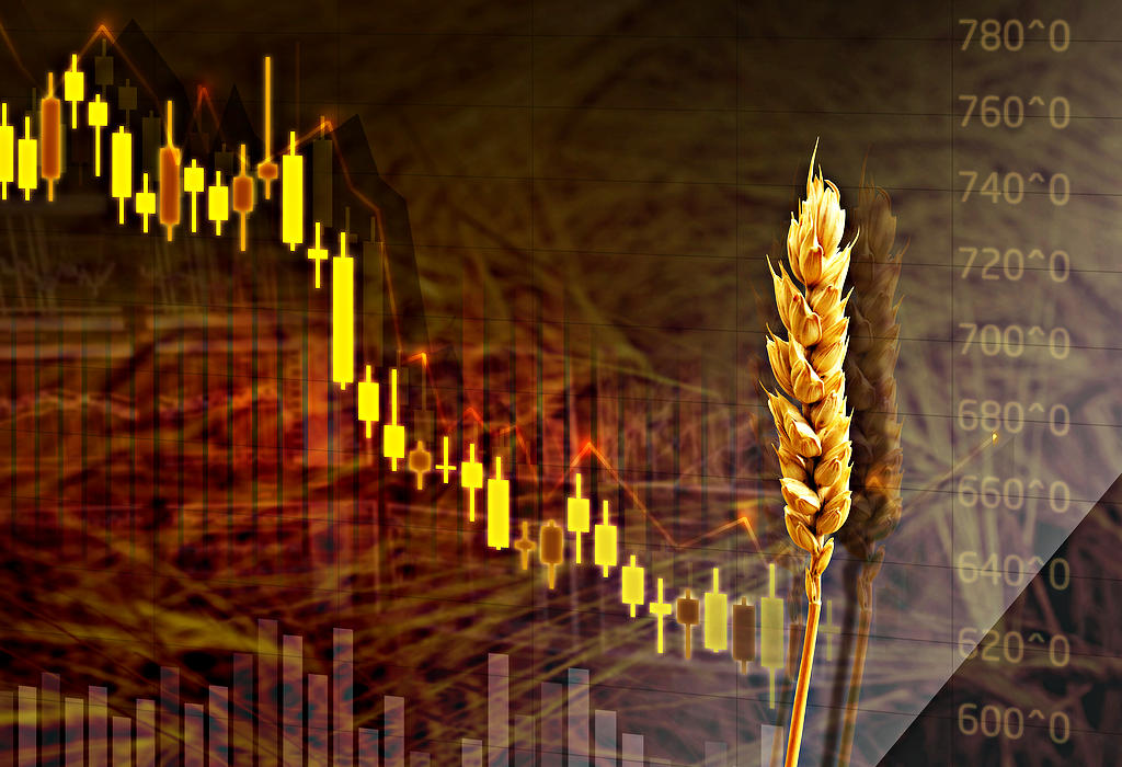 Мировой рынок: пшеница и мясо дорожает