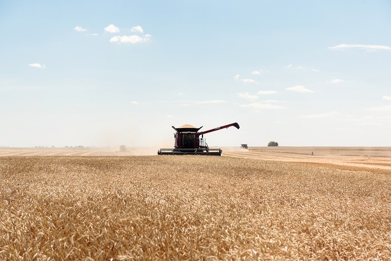 Уборка зерновых продолжается в двух регионах Казахстана