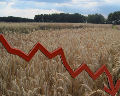 Рентабельность аграрного сектора России падает
