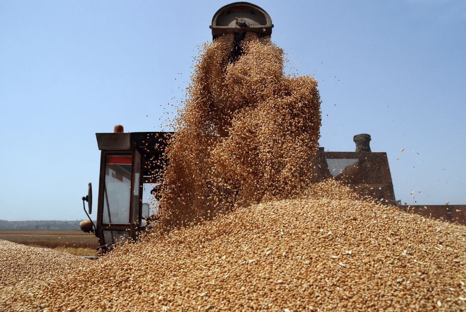 Потребление зерновых в Казахстане вырастет до 9,7 млн тонн в текущем сезоне