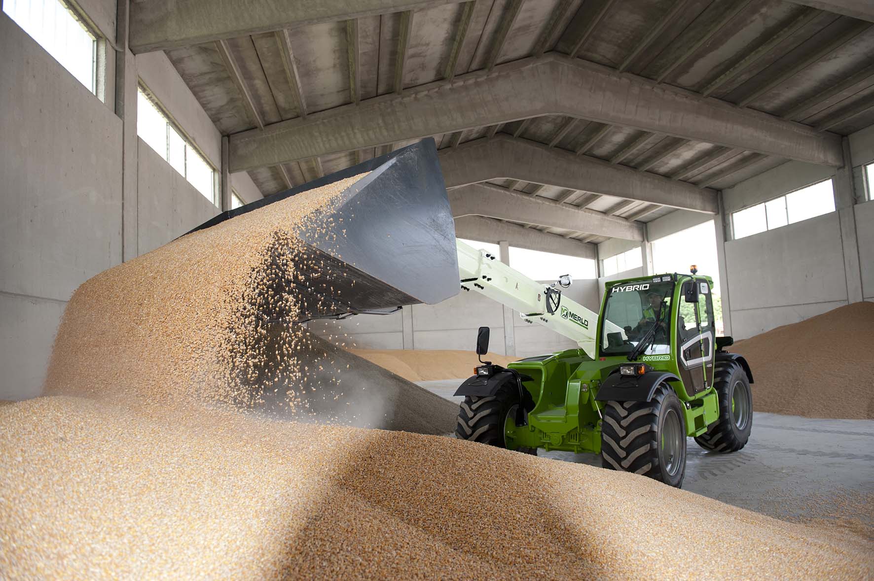 Справедливы ли цены на зерно нового урожая?