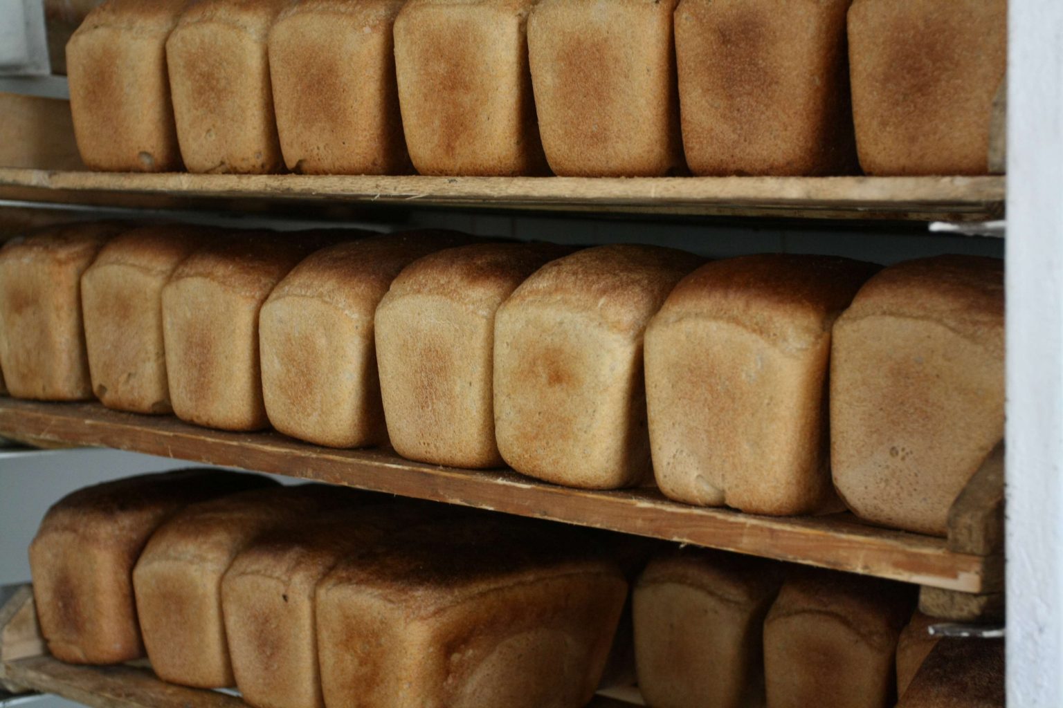 На «социальный хлеб» потратят 13,8 млрд тенге из бюджета