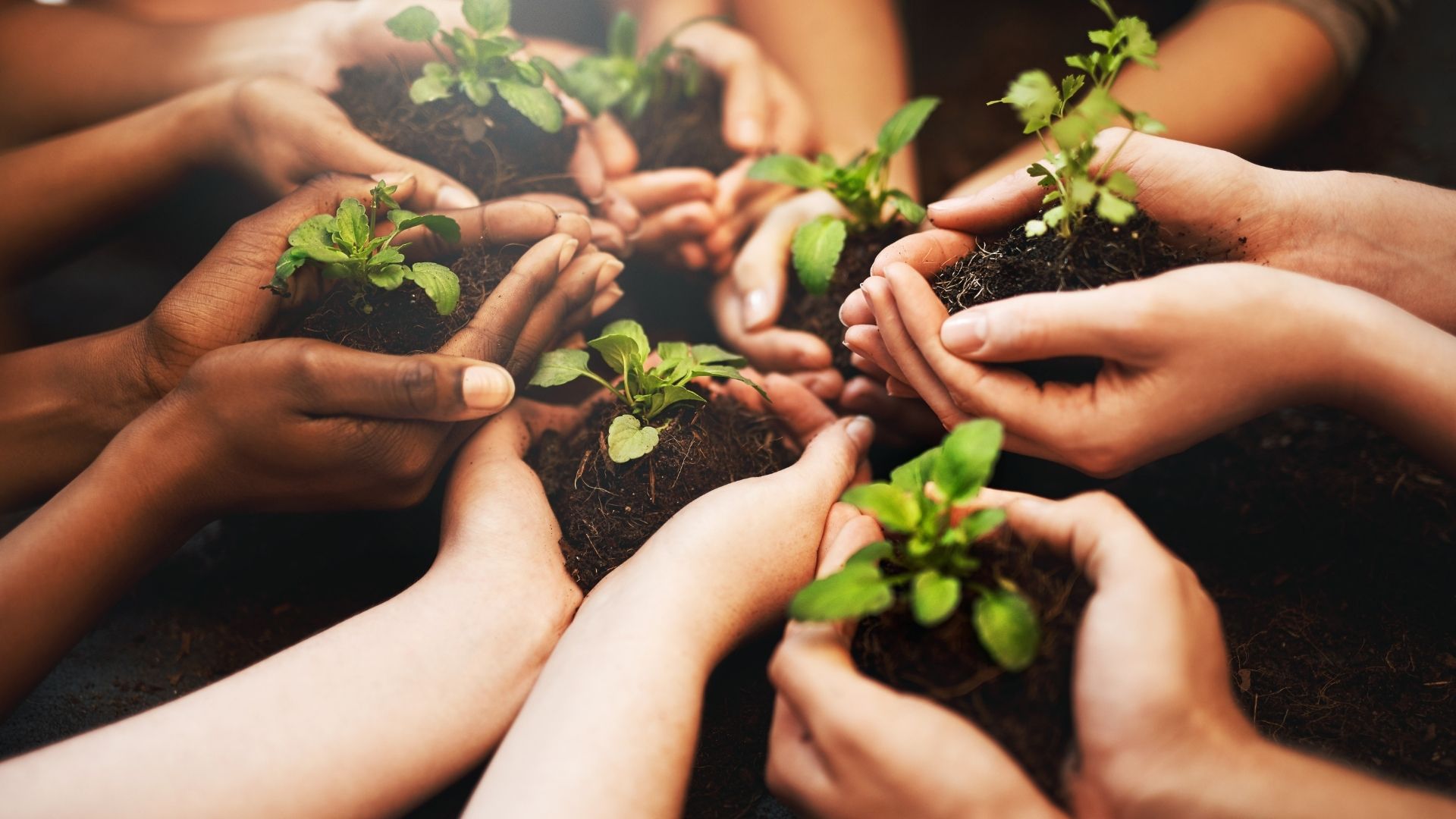 День Земли пройдет в столице