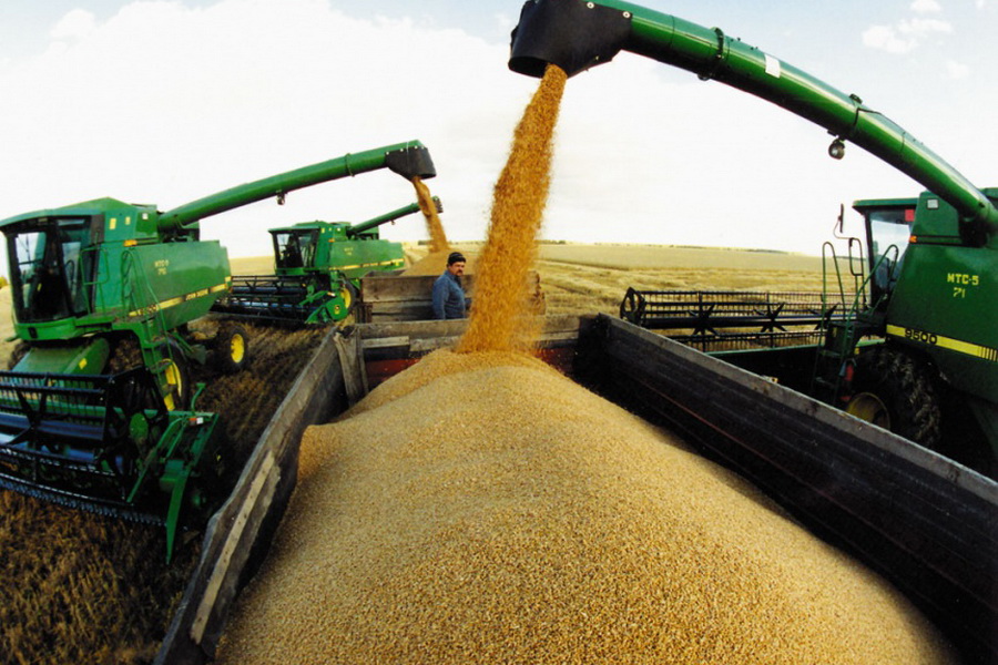 В Казахстане убрано 85,6% площадей зерновых, намолочено 16,4 млн тонн зерна