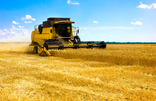 В РК убрано 87% площадей зерновых, намолочено 16,7 млн тонн зерна