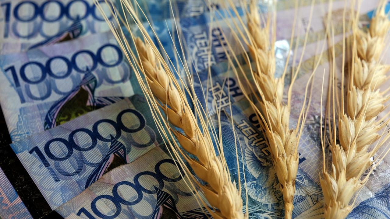 Зарплаты в сельском хозяйстве вдвое меньше среднего заработка казахстанцев