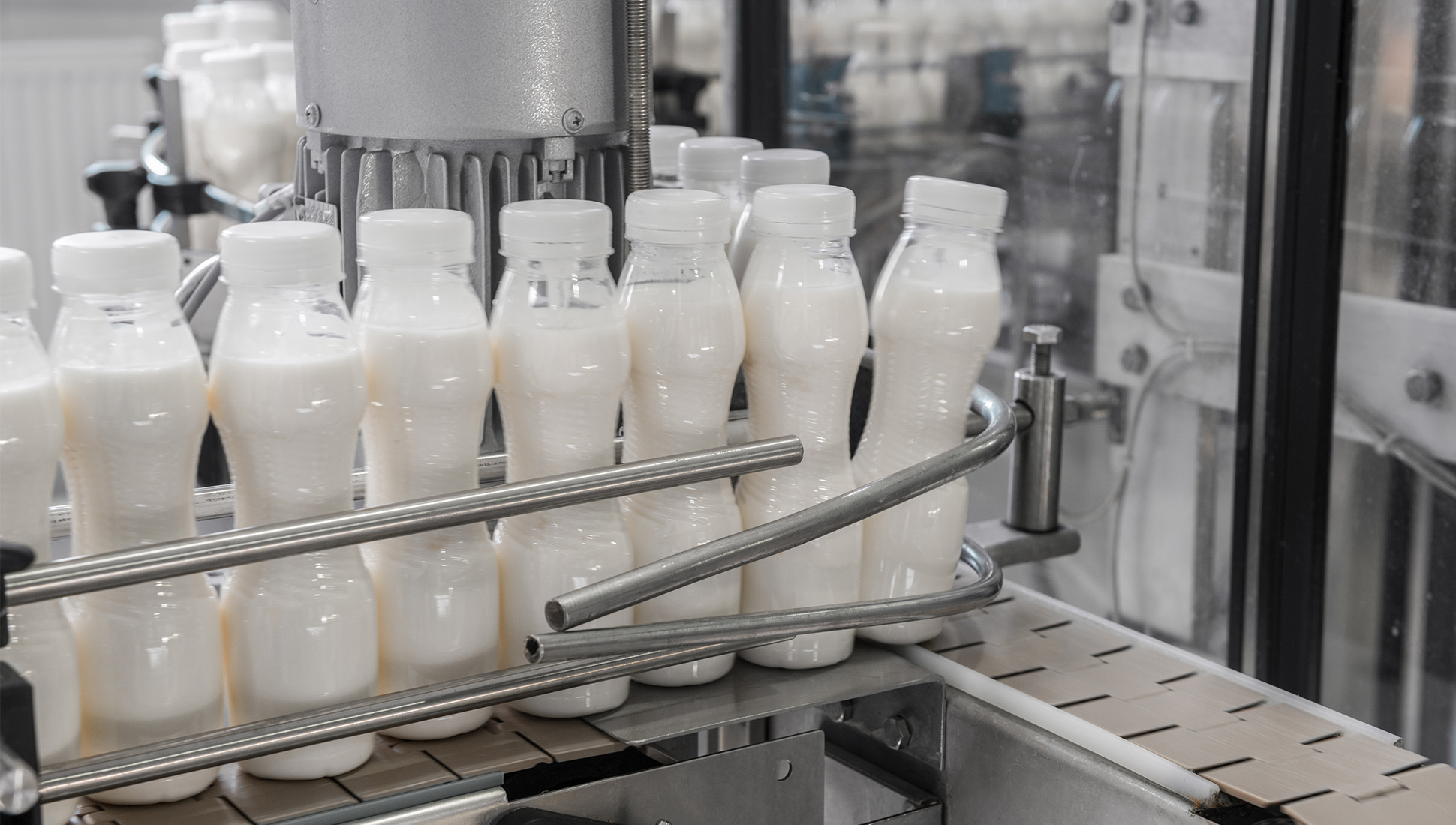 Молочная продукция из России – это контрафакт
