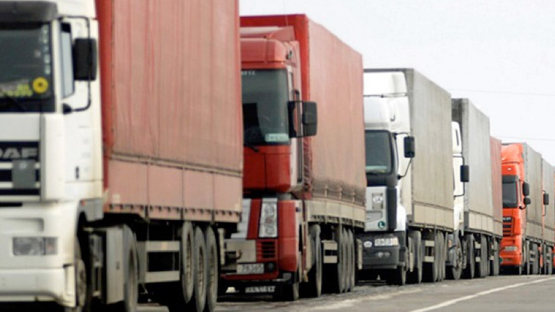 Госинспекторы пресекли ввоз подкарантинной продукции 