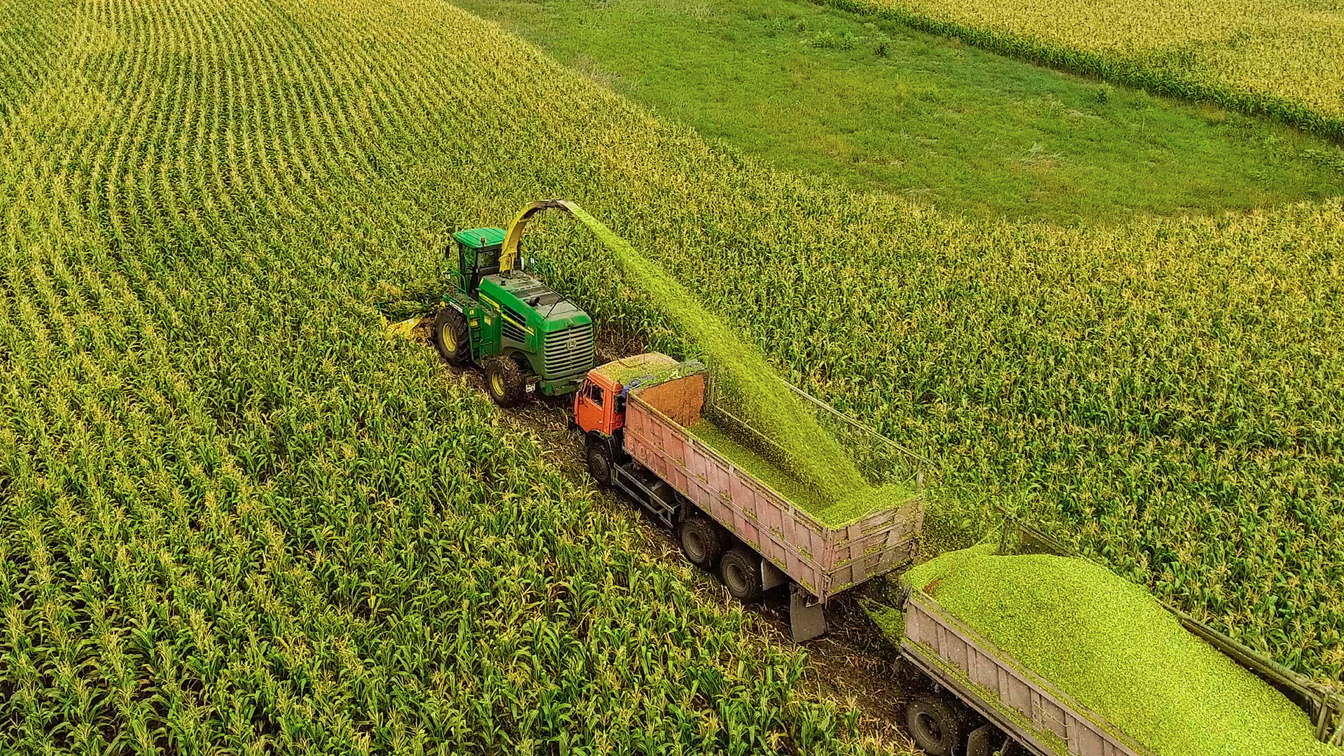 Регенеративное земледелие набирает обороты в США