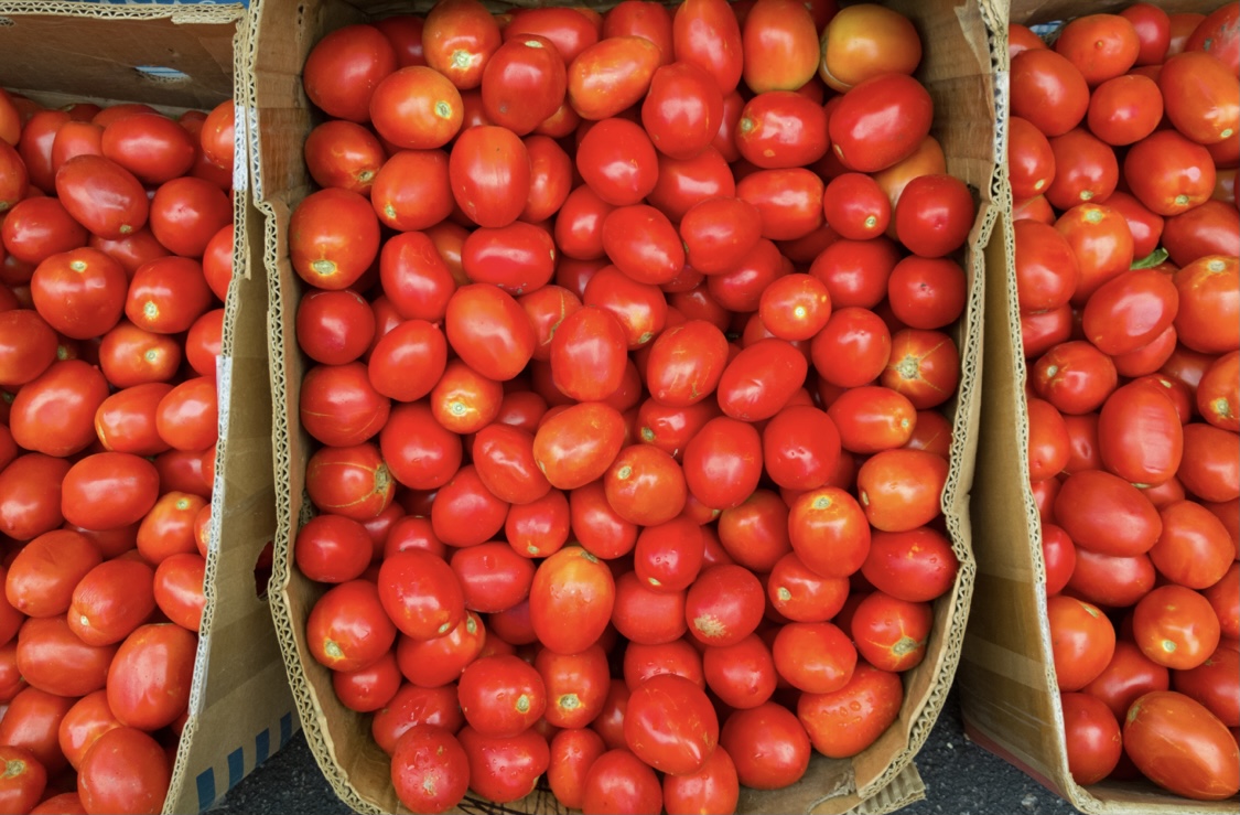 МСХ РК предотвратило ввоз зараженных томатов