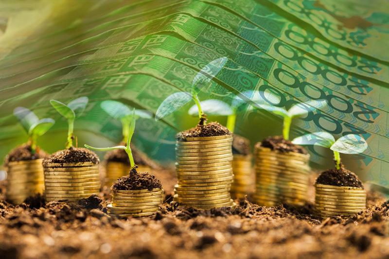 Investments in the agricultural sector of Kazakhstan increased by 1.5 times