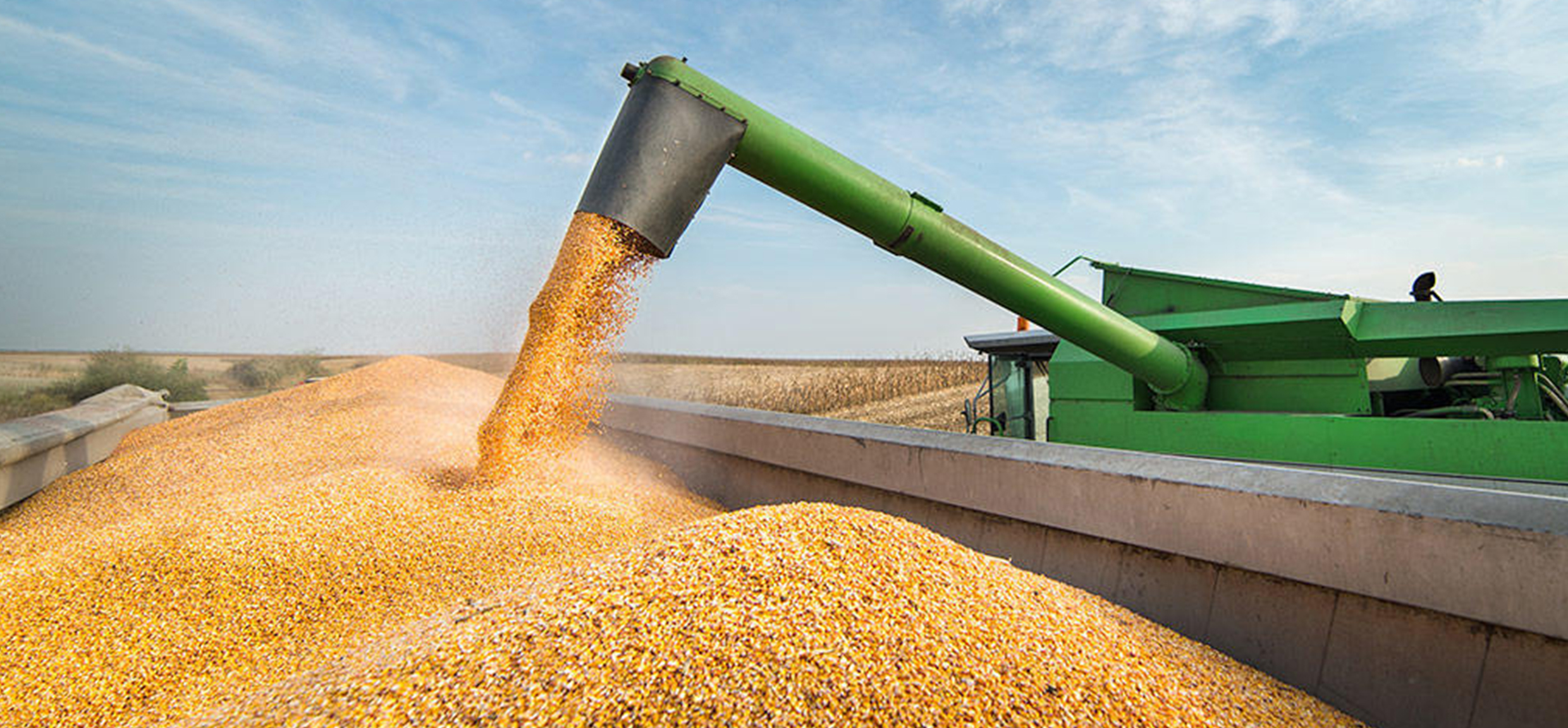 Россия может снизить экспорт зерна