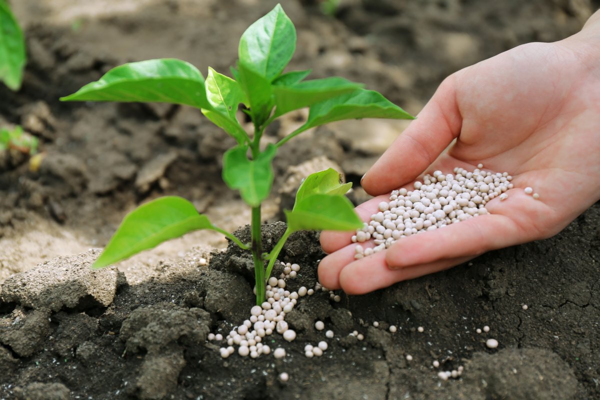 Казфосфат планирует утроить производство удобрений