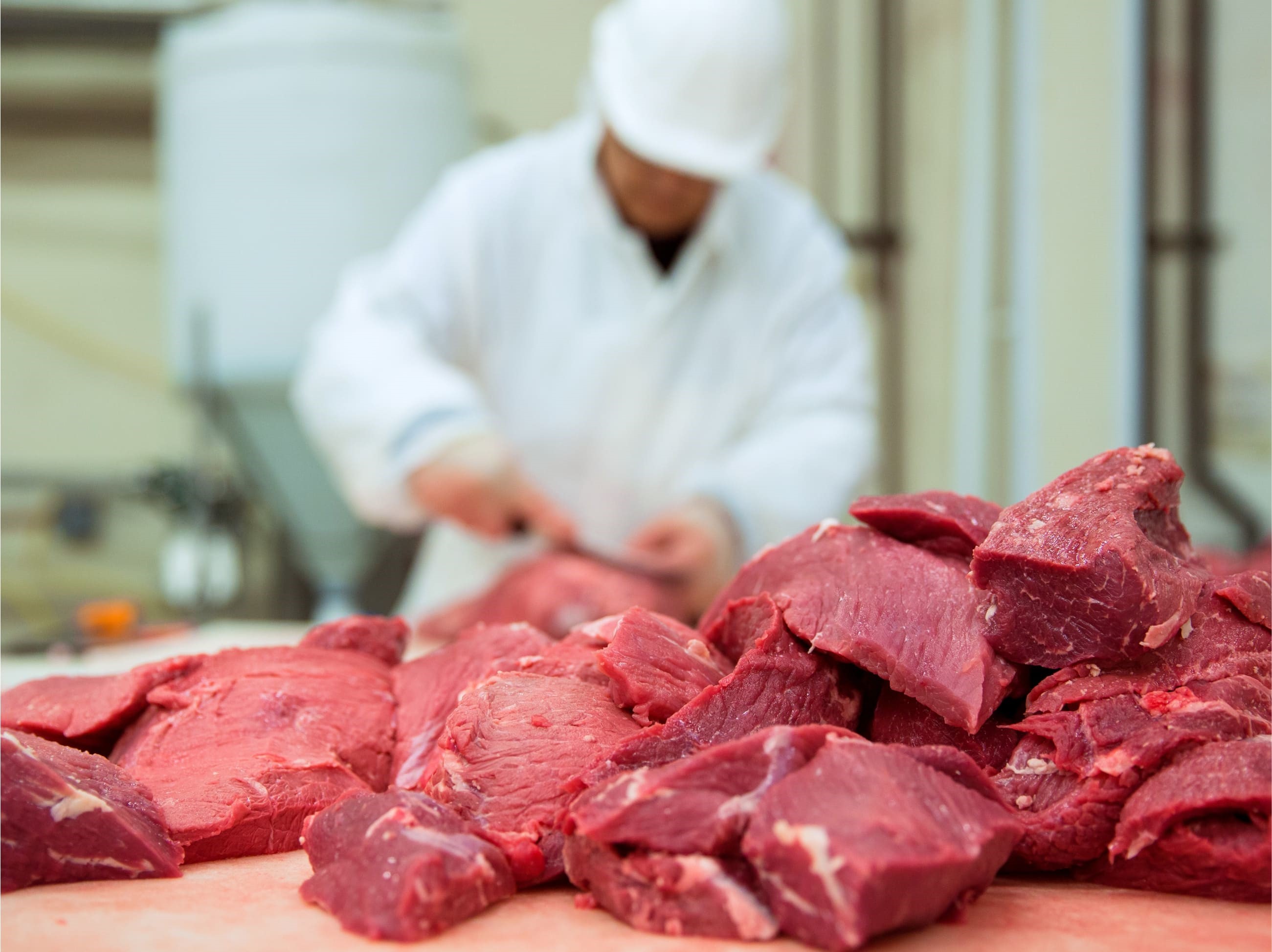 Kazakhstan set to export horse meat to Japan