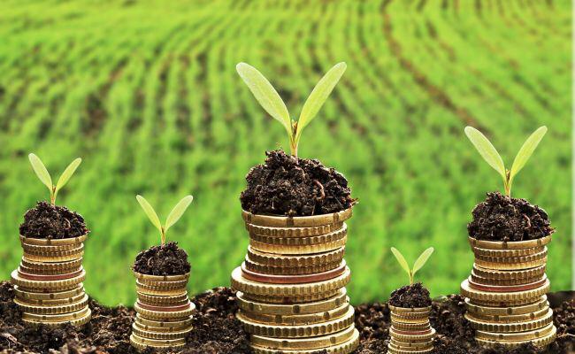 Костанайские сельхозпроизводители с 1 февраля смогут подать заявки на инвестсубсидии