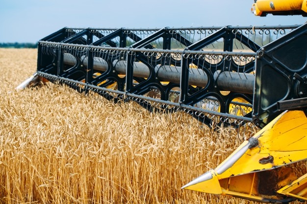 В Казахстане убрано 88% площадей зерновых, намолочено 16,9 млн тонн зерна