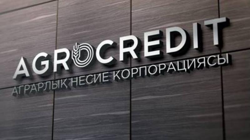 Аграрлық несие корпорациясы агробизнеске қосымша 40 млрд теңгеден астам қаржы бөледі