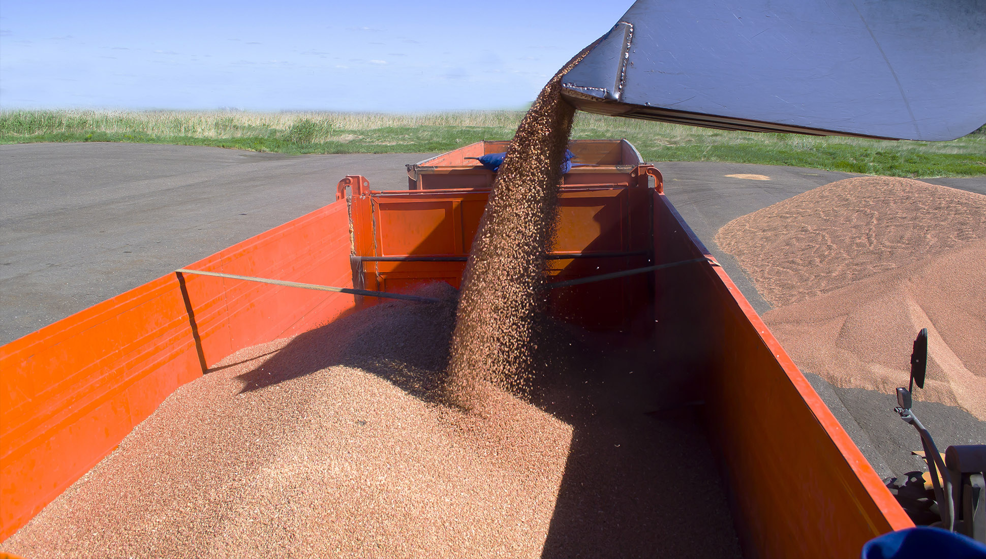 Россия экспортировала рекордный объем пшеницы