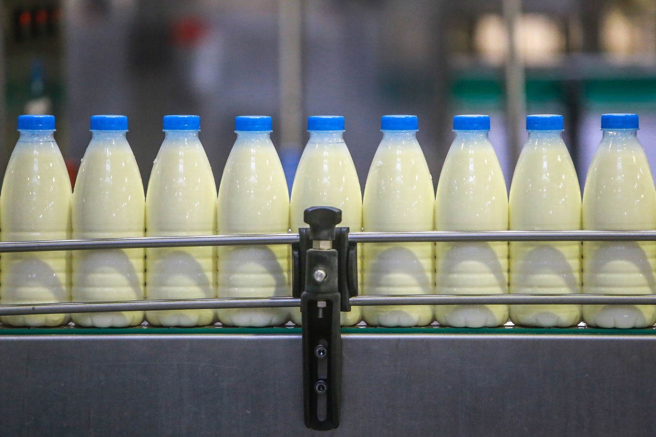 Новый цех по переработке молока строится в Акмолинской области