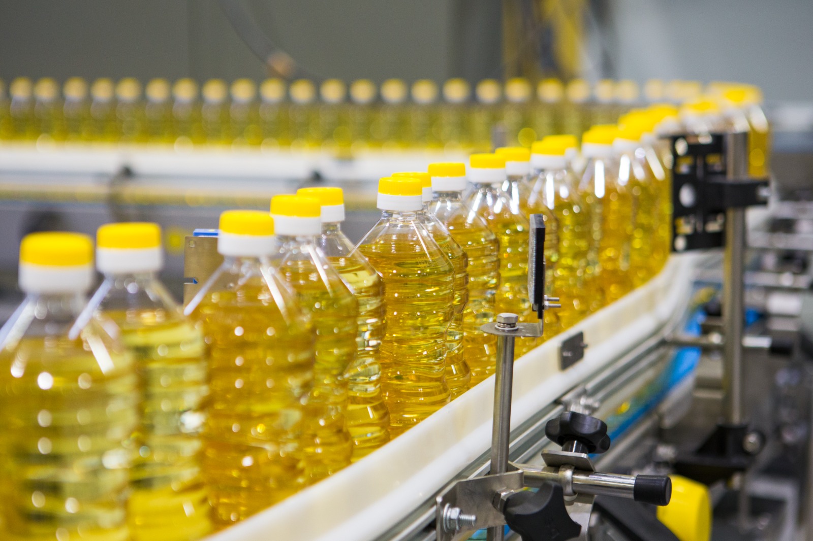 Сразу три маслозавода построит зарубежный инвестор в Казахстане