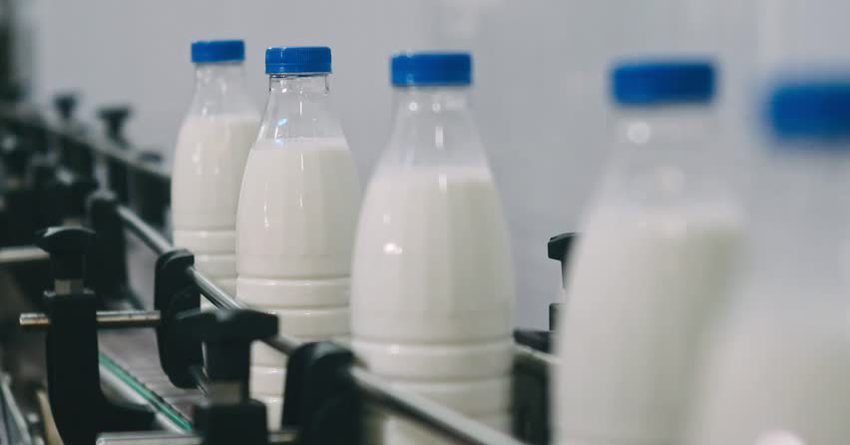 Экспорт молока упал почти в три раза
