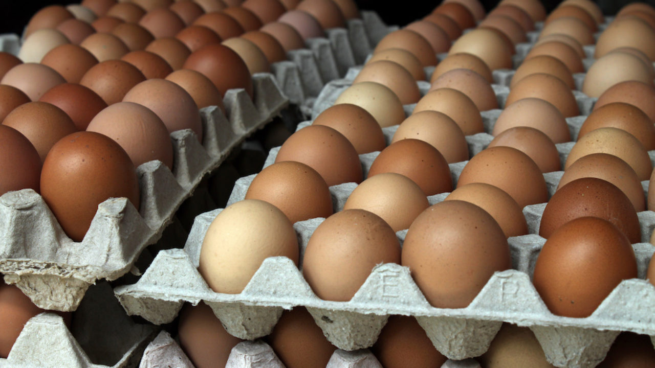 Появится птицефабрика мощностью 200 млн яиц в год