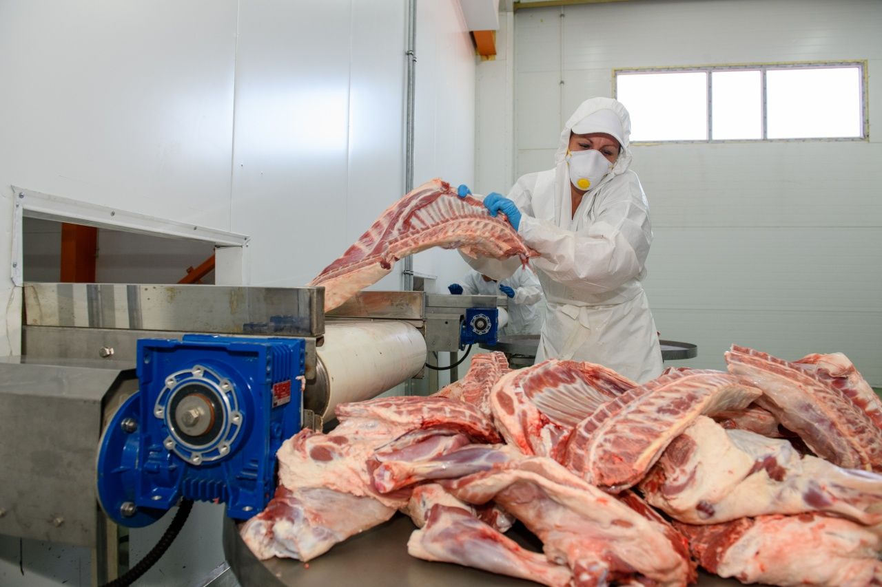 American company Tyson Foods to build a meat processing plant in Almaty region
