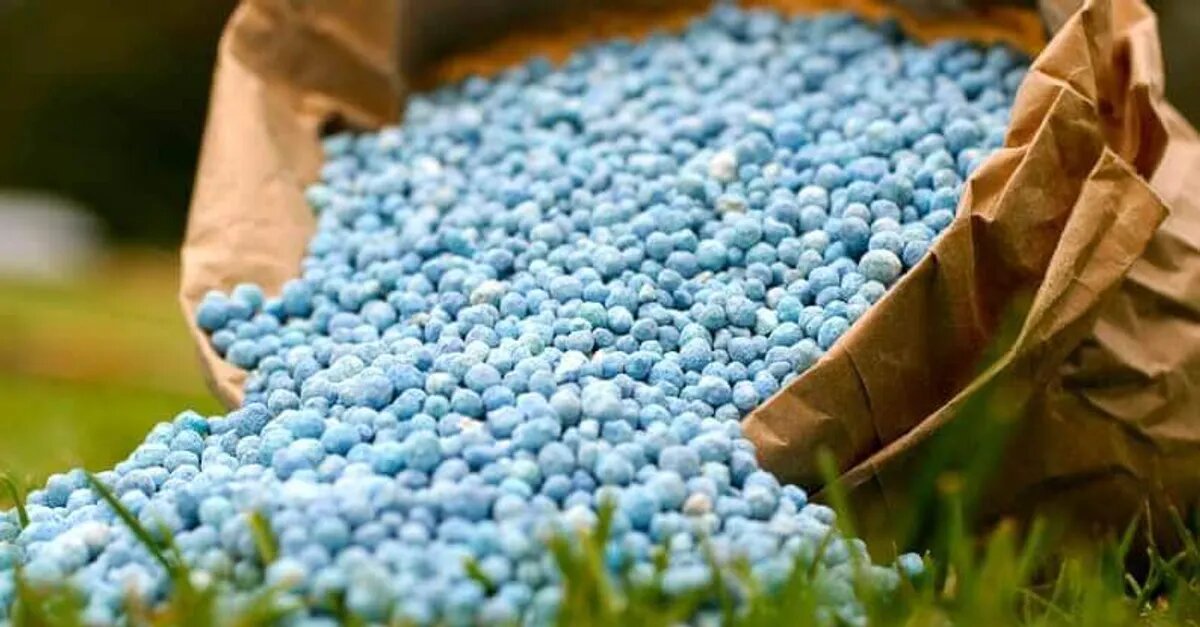 Больше удобрений выделят на ВПР в Карагандинской области