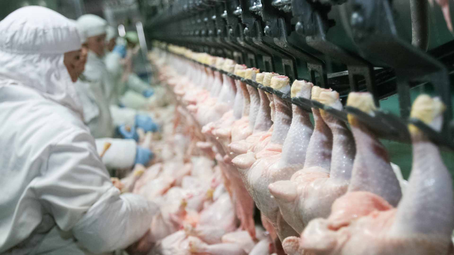 Китай снял ограничения на ввоз мяса и птицы из Казахстана 