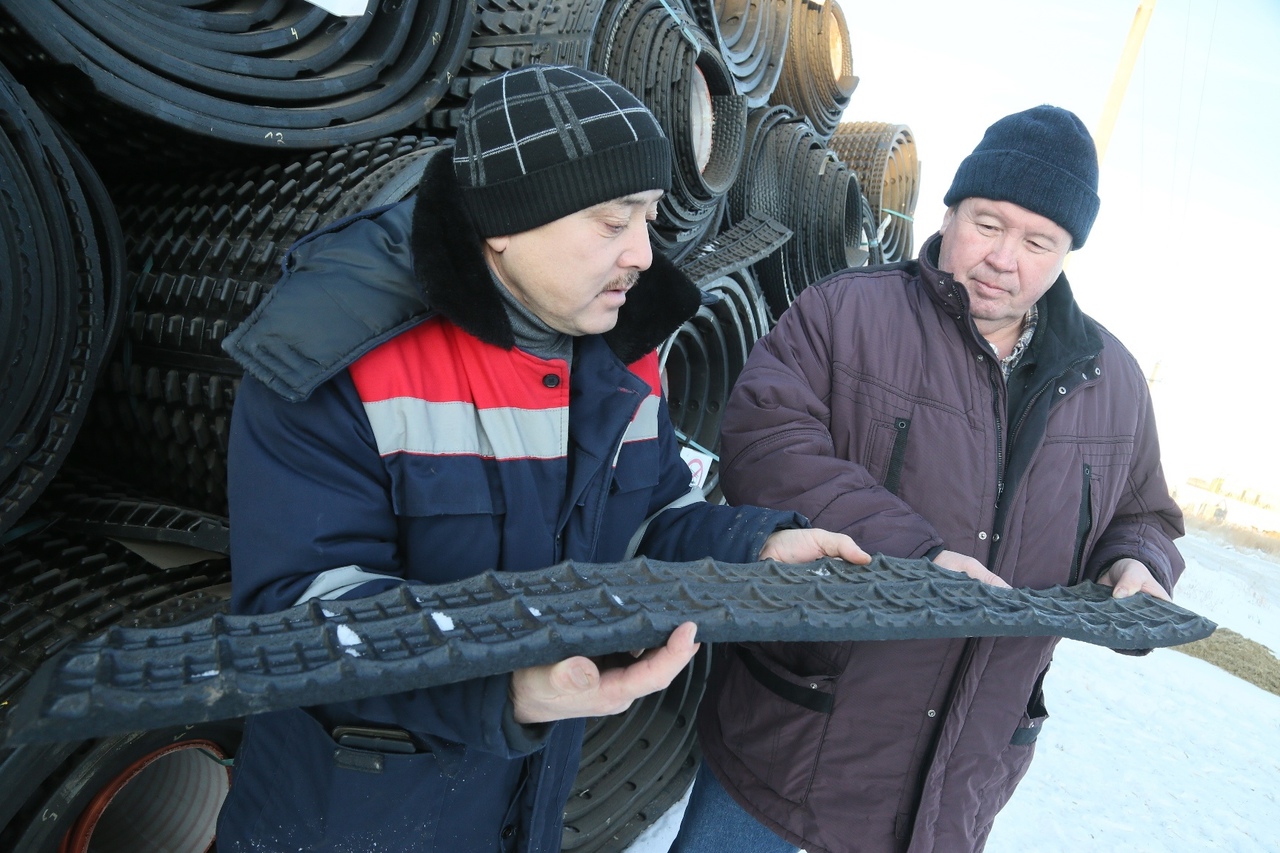 Mattresses for ... cows were purchased for a Kostanay farm