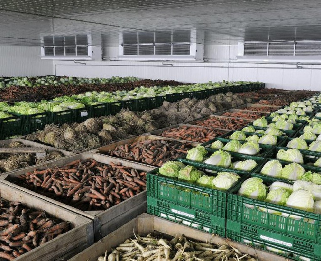 The President instructed to develop a plan for the construction of vegetable storage facilities 