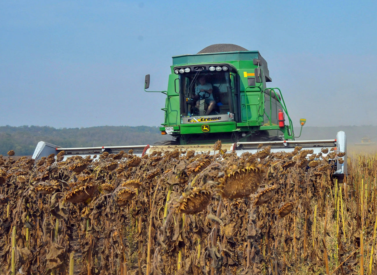 Oilseeds harvesting has started in Kazakhstan