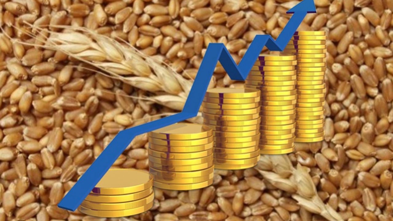 Wheat prices reach highest level since 2014