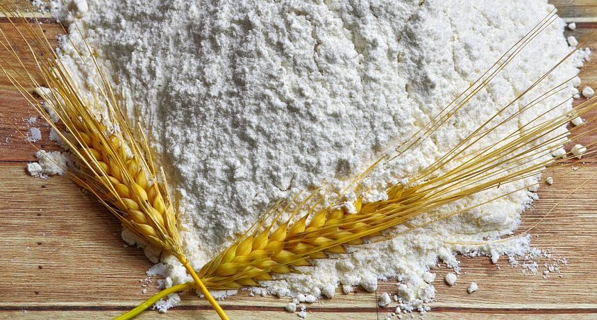 Мукомолы обратились к Президенту страны