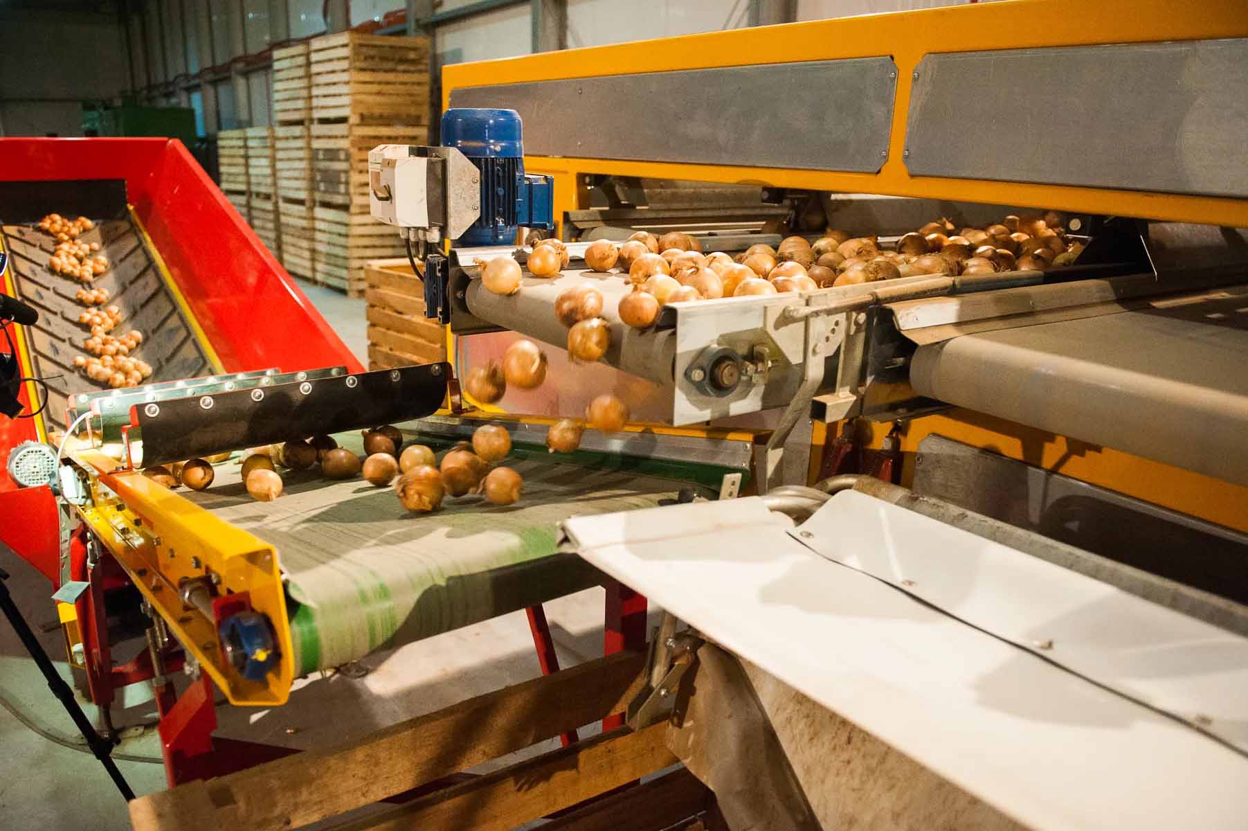 Өңделген өнімге – азырақ, шикізатқа көбірек салық салынады