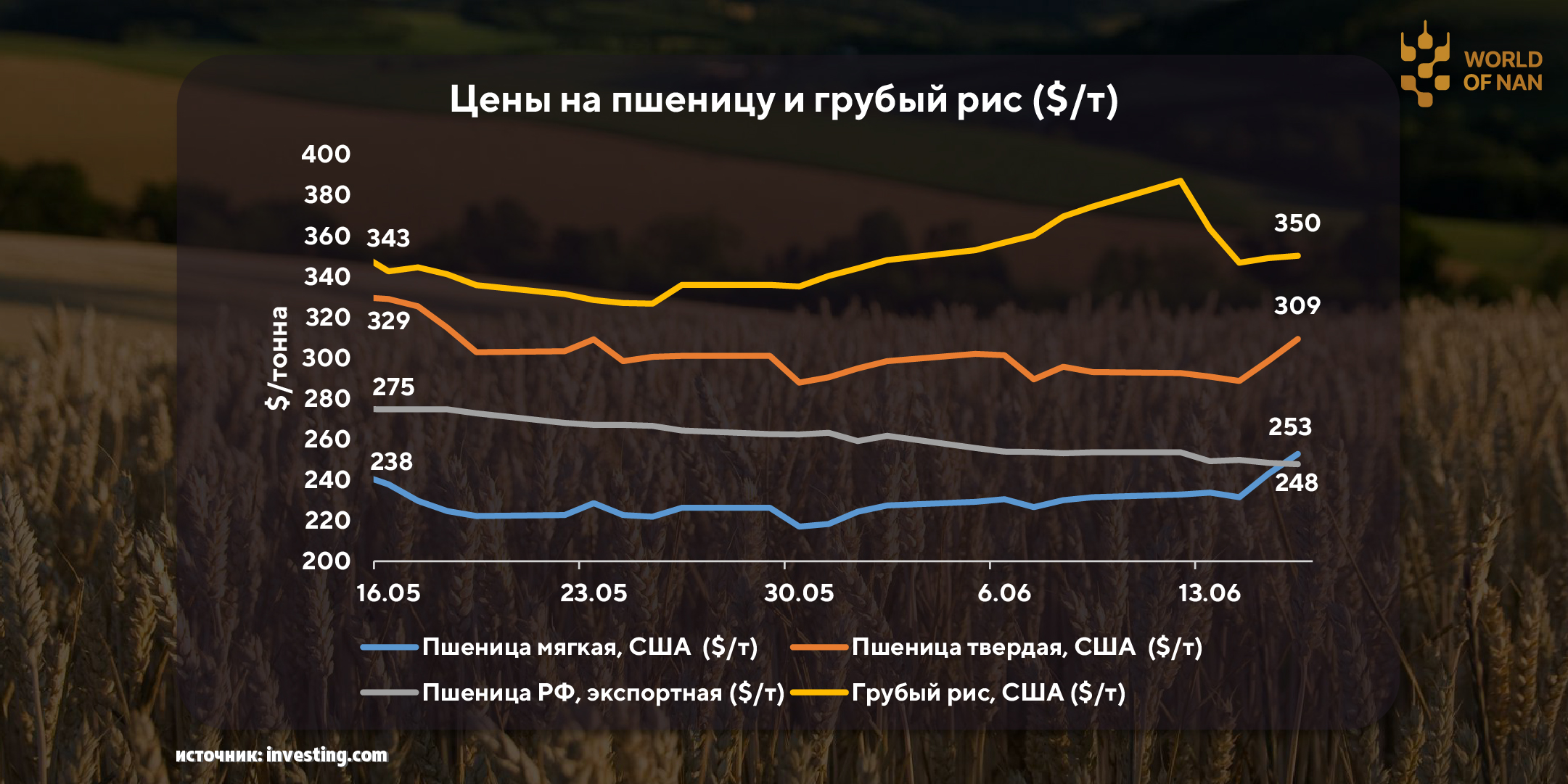 Несмотря на мировой рост, пшеница в России падает в цене