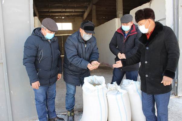 Безвозмездную помощь фермерам в виде семян люцерны предоставил ФАО 