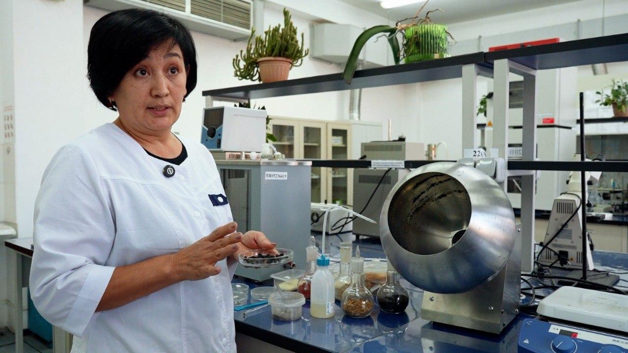 Инновация КазНУ: семена растут быстрее и требуют меньше воды