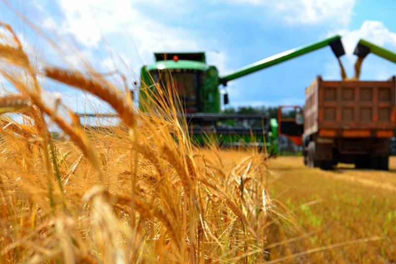 1.5 BILLION US DOLLARS ANNUALLY LOSES KAZAKHSTAN FROM EXPORT OF AGRICULTURAL RAW MATERIALS
