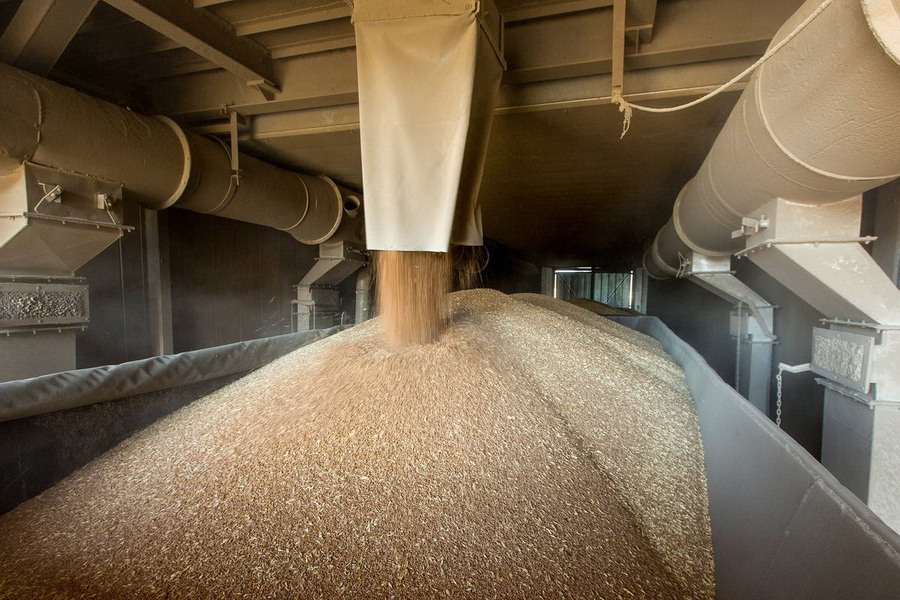 Kazakhstan plans to build a laboratory for thermal treatment of grain