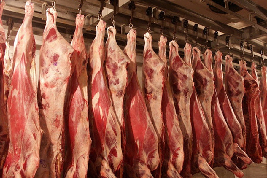 The Ministry of Agriculture will examine Kazakhstan's meat processors to open exports to China