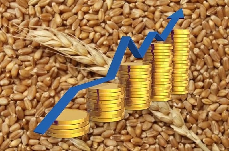 Prodkorporatsiya announced grain purchase prices