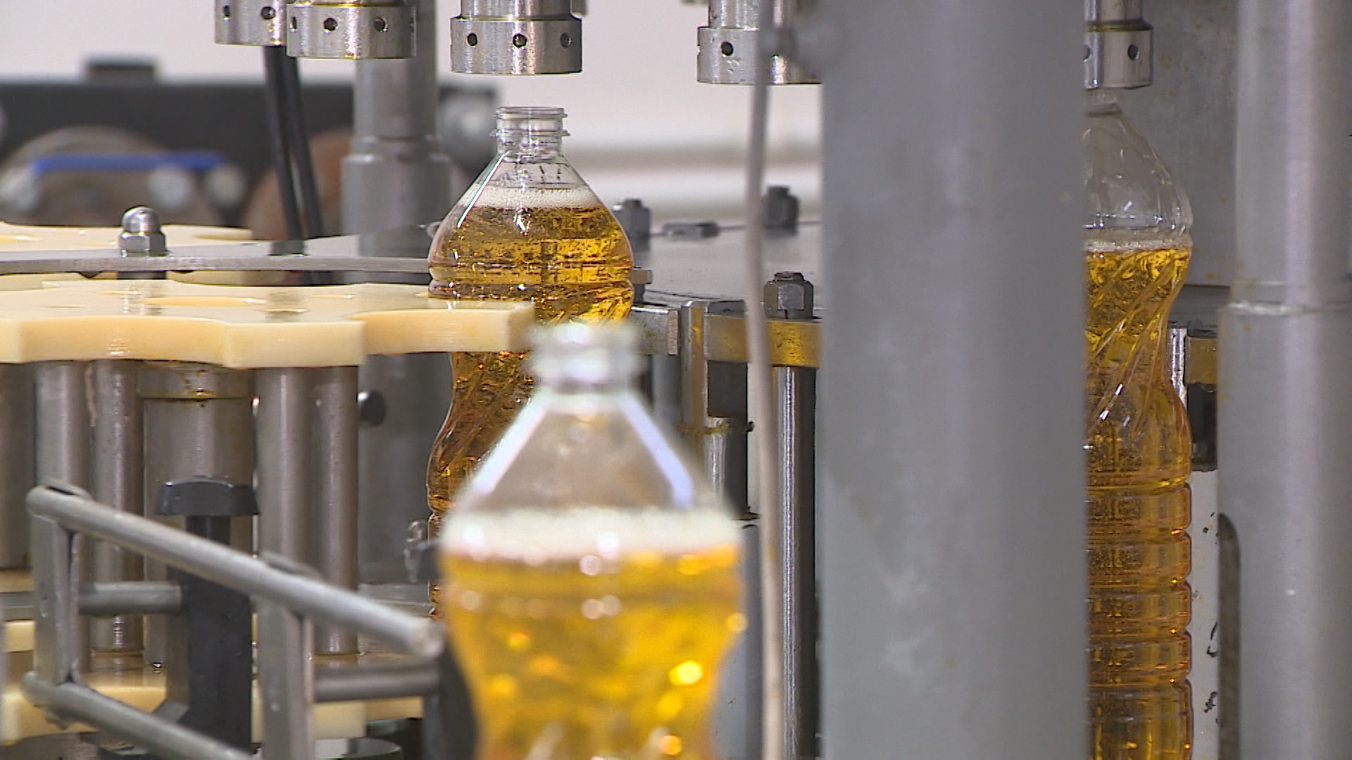 Маслозавод за 26 млрд тенге запустили на востоке