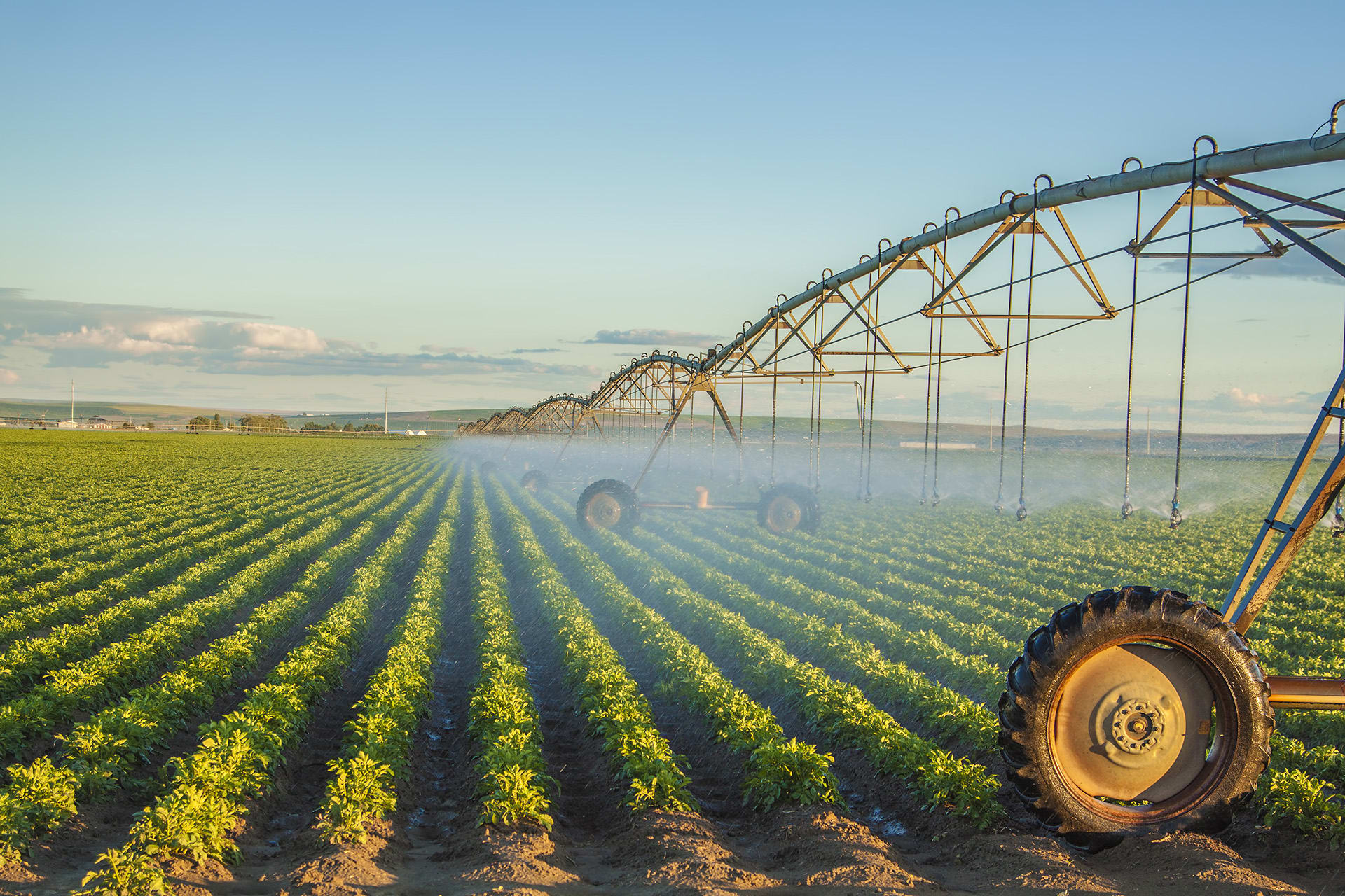 A graduate of West Virginia University is engaged in crop farming in a village in the Pavlodar region