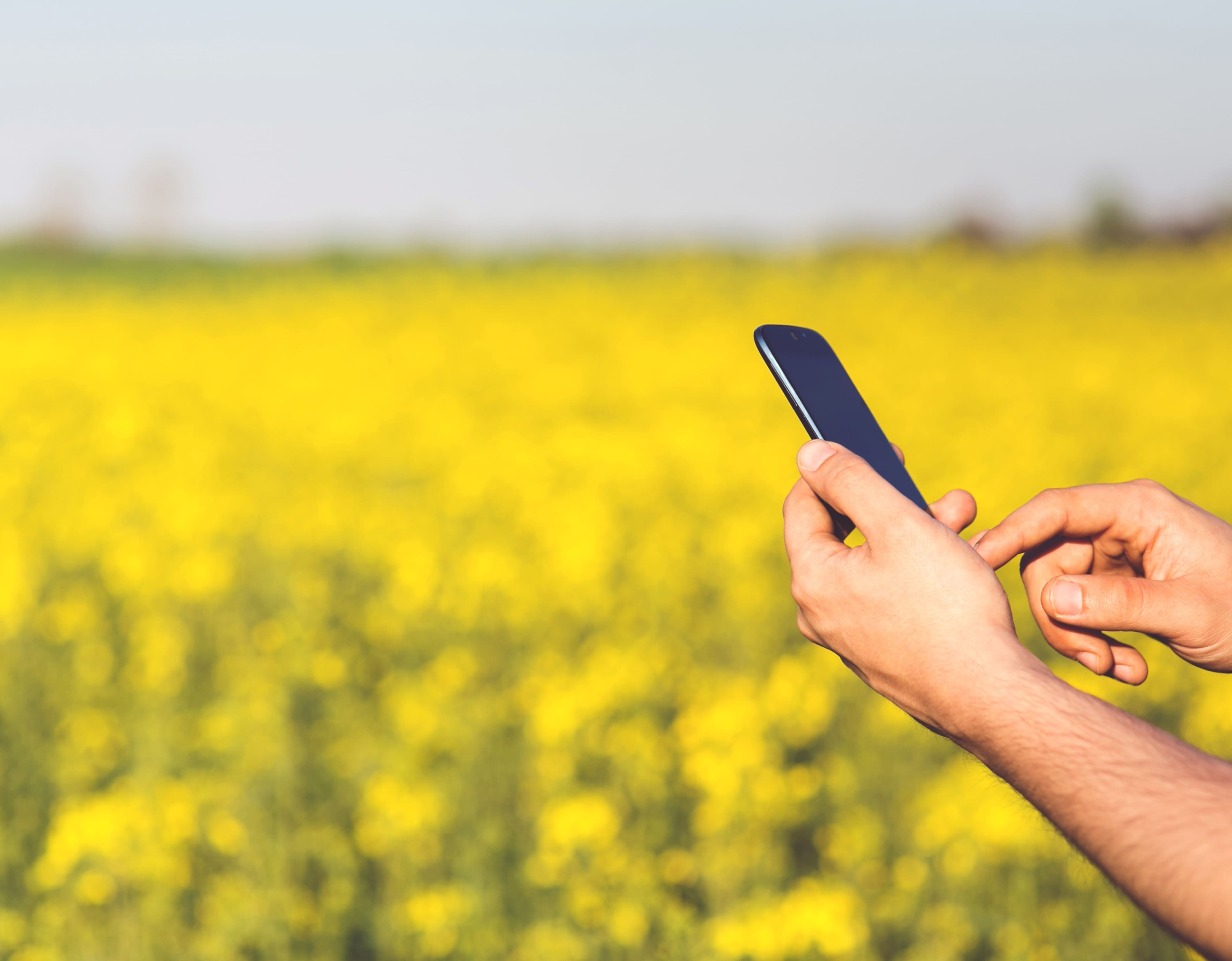 In 2025, all government services in the agricultural sector will be accessible from a smartphone