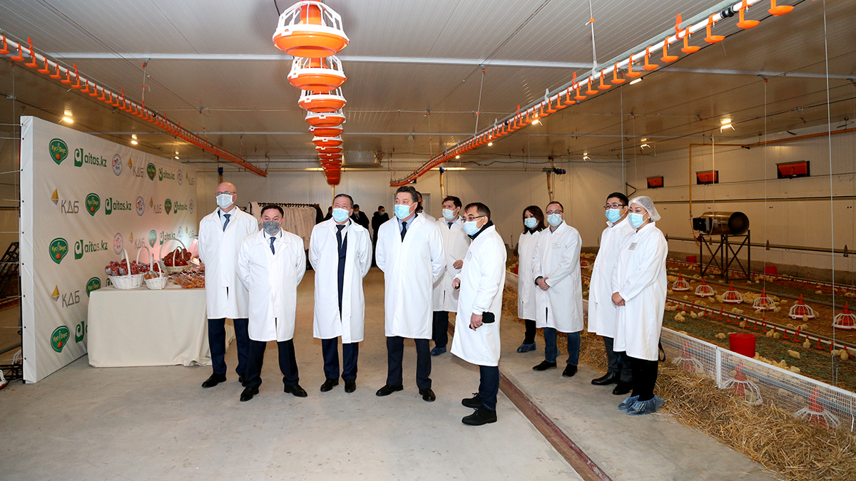 Расширение макинской птицефабрики укрепит продовольственную безопасность РК – А. Мамин 