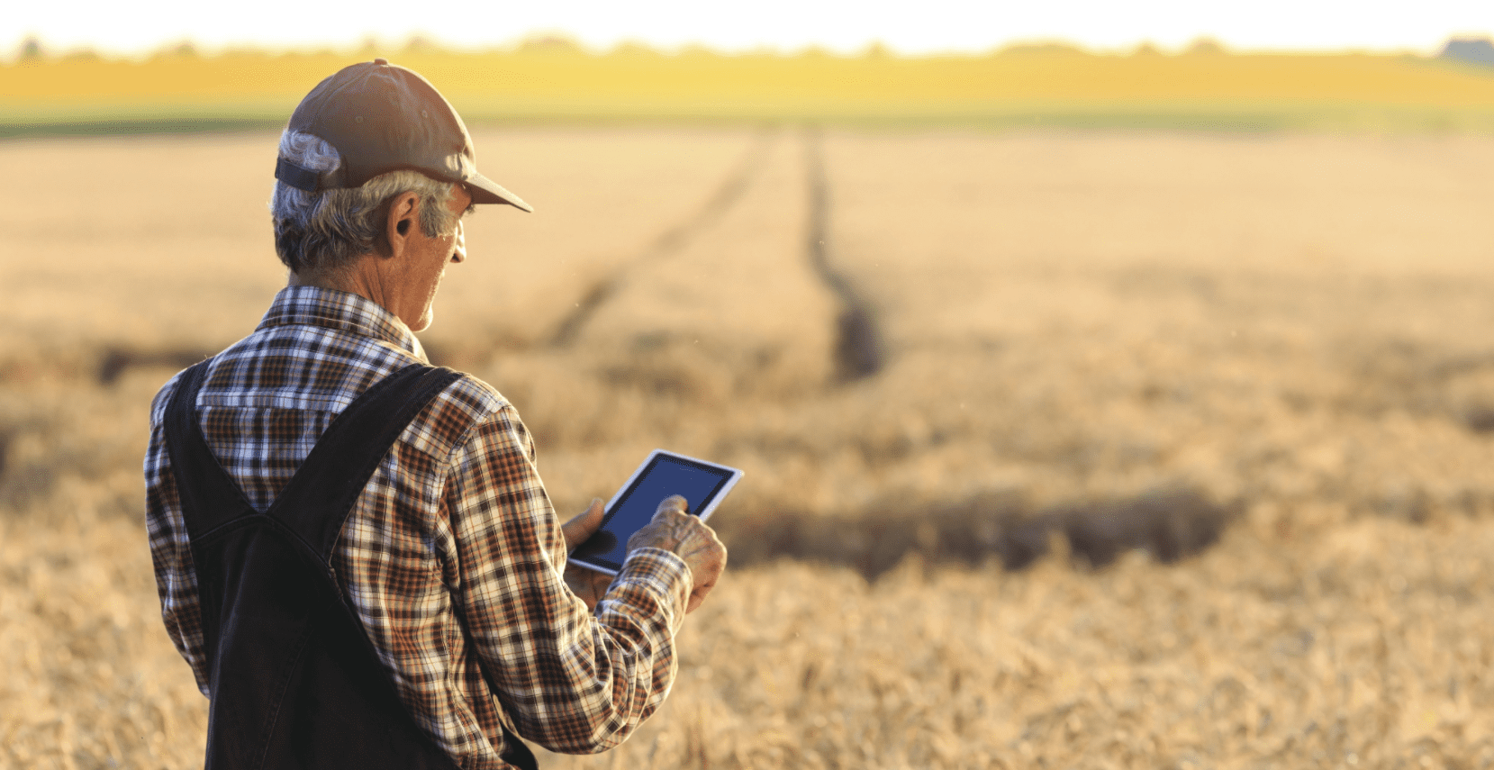 Новая цифровая платформа позволит фермерам Казахстана продавать свою продукцию напрямую 